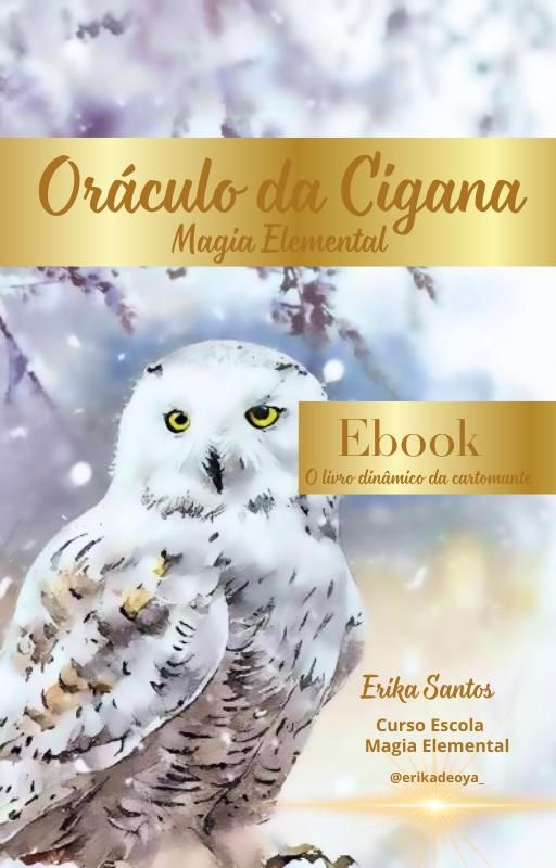 Capa do curso 