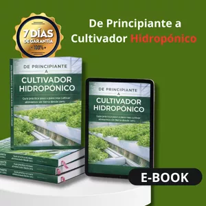 Imagen de portada para Curso online De Principiante a Cultivador Hidropónico 