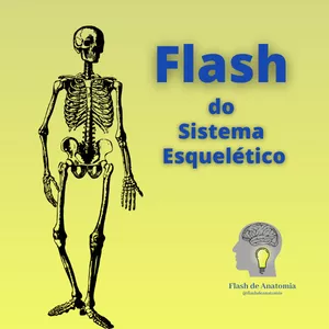 Imagem principal do produto Flash no Sistema Esquelético