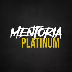 Imagem de capa para o Curso online Mentoria Platinum
