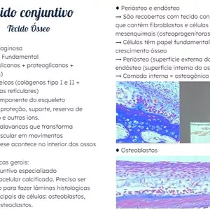 Imagem de capa para o Ebook Resumo Tecido ósseo