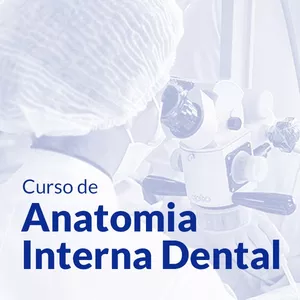 Imagem de capa para o Curso online Anatomia Interna dental: Estudar Aprender e lembrar