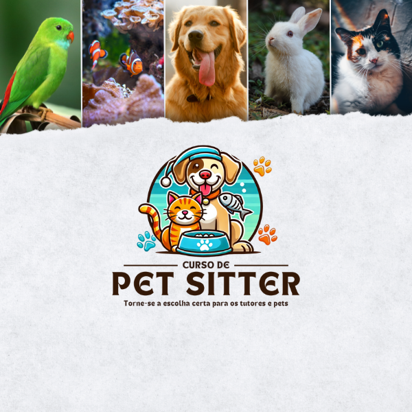 Pet Sitter