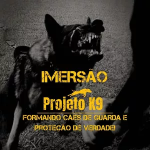 Imagem de capa para o Curso online Imersão Projeto K9 - FORMANDO CÃES DE GUARDA E PROTEÇÃO DE VERDADE!