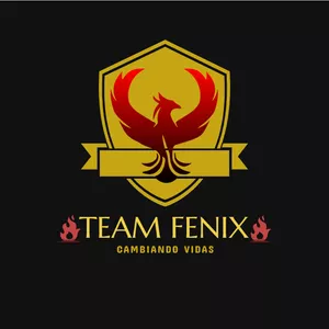 Imagen de portada para Curso online Team Fenix