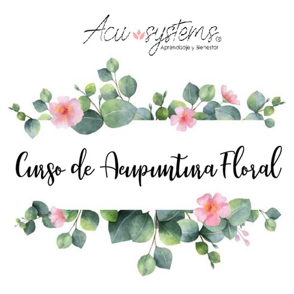 Curso De Acupuntura Floral Acu Systems Learn A New Skill