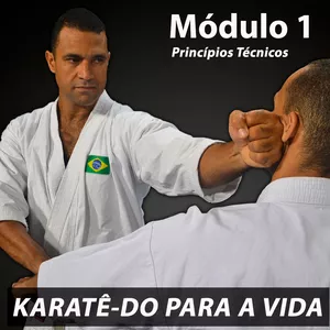 Imagem de capa para o Curso online MÓDULO 1 - PRINCIPIOS TÉCNICOS - PROJETO KARATÊ-DO PARA A VIDA 