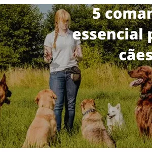 Imagem de capa para o Ebook 5 comandos essenciais para o seu pet