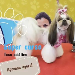 Curso SUPER CURSO DE TOSA ASIÁTICA