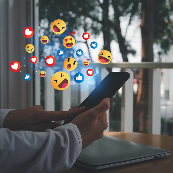 SOCIAL MEDIA PROFISSIONAL