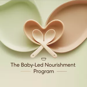 Cover image for Online course The Baby-Led Nourishment Program