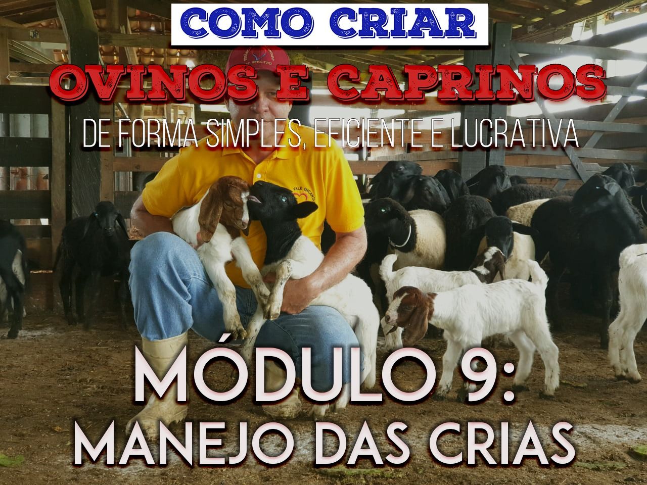 Imagem do curso Curso - MANEJO DAS CRIAS DE OVINOS E CAPRINOS
