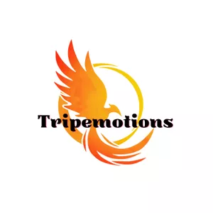 Imagen de portada para Curso online Programa Tripemotions