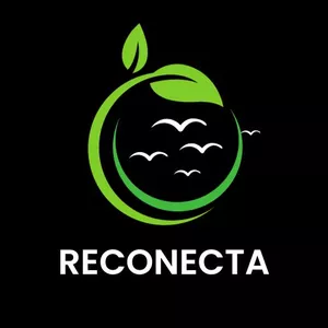Imagen de portada para Curso online RESERVA