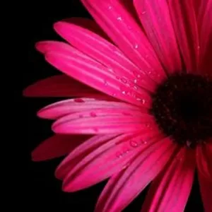 Imagem de capa para o Curso online A Arte de Criar Eventos