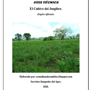 Imagen de portada para Ebook La Guía técnica El Cultivo del Jengibre, Zingiber officinale.