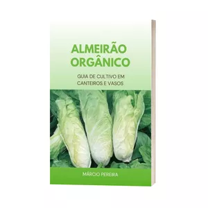 Imagem de capa para o Ebook Almeirão Orgânico