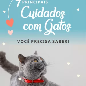 Imagem de capa para o Ebook Como Cuidar do Seu Gato em 7 Passos - Você Precisa Saber!
