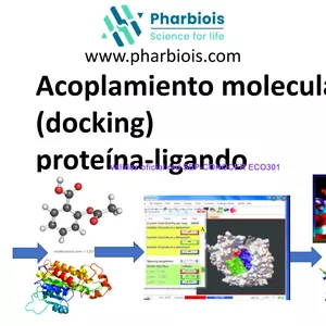 Imagen de portada para Curso online Acoplamiento molecular (docking) Proteína-Ligando