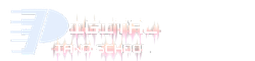 Digital Piano School logo