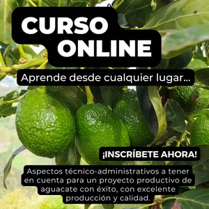 Imagen de portada para Curso online ASPECTOS TÉCNICOS Y ADMINISTRATIVOS PARA EL ÉXITO DEL CULTIVO DE AGUACATE