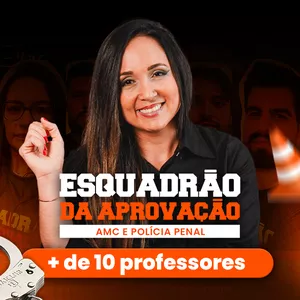 Imagem de capa para o Curso online Esquadrão da Aprovação