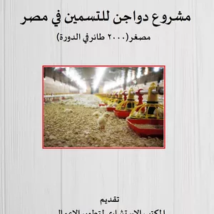 Cover image for Ebook دراسة جدوى مشروع انتاج الدواجن المكثف (بقصد انتاج اللحم) بطاقة 20.000 طائر، سنويا، المنوفية، مصر‏