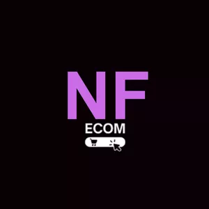 Imagem de capa para o Curso online NF | Tema Premium + Kit 110 Produtos Vencedores