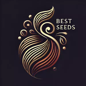 Cover image for Online course Best seeds