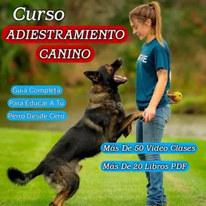 Imagen de portada para Ebook Curso De Adiestramiento Canino De Cero A Experto