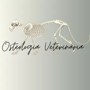 Imagem de capa para o Ebook Osteologia Veterinária E-book