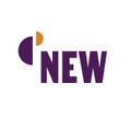 NEW School logo