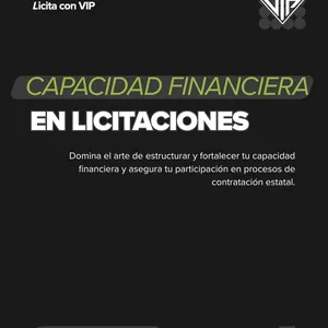 Imagen de portada para Curso online Capacidad Financiera en Licitaciones