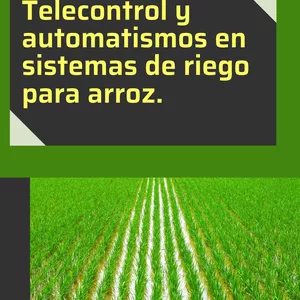 Imagen de portada para Ebook Telecontrol y automatismos en sistemas de riego para arroz.