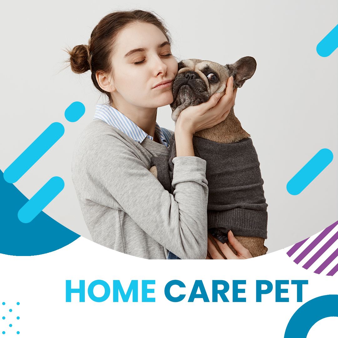 Imagem do curso Home Care Pet - Como fazer a higiene do seu cão em casa.
