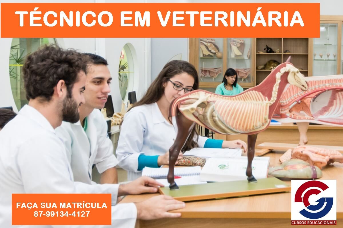 Imagem do curso TÉCNICO EM VETERINÁRIA - TÉCNICO POR COMPETÊNCIA