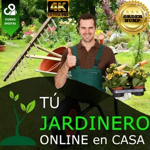 Imagen de portada para Curso online Tu jardinero online en casa (Cuidado, alimentación y mantenimiento de plantas)