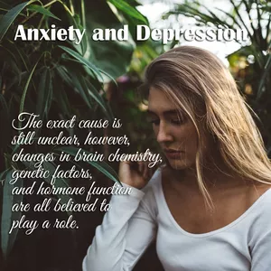 Cover image for Ebook Anxiety and Depression 