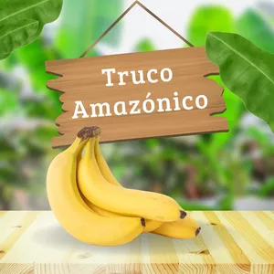 Imagen de portada para Curso online Truco Amazónico