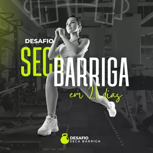 Imagem de capa para o Ebook Desafio seca barriga em 21 dias