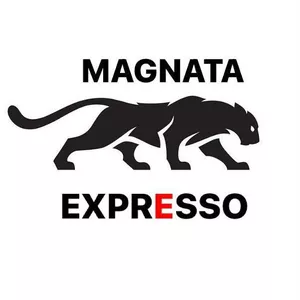 Imagem do curso MAGNATA EXPRESSO