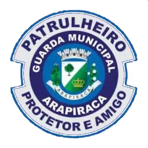 Imagem de capa para o Curso online GCM ARAPIRACA ALAGOAS 