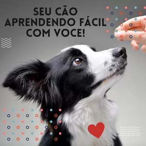 Imagem de capa para o Curso online Aprenda a adestrar facil o seu cão