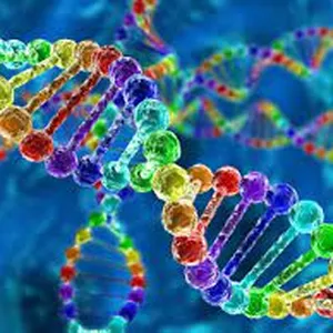 Imagem de capa para o Ebook introdução a bioquimica