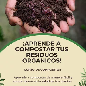 Imagen de portada para Curso online Aprende a compostar tus residuos orgánicos 
