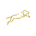 Online Dogtraining logo