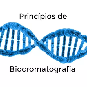 Imagem de capa para o Curso online Princípios de Biocromatografia