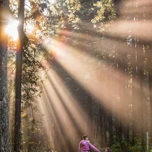 Imagem de capa para o Curso online Equilíbrio Familiar : Saúde Mental  e Reconexão na Família 
