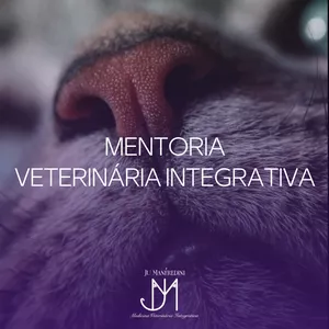 Imagem de capa para o Curso online MENTORIA VETERINÁRIA INTEGRATIVA 