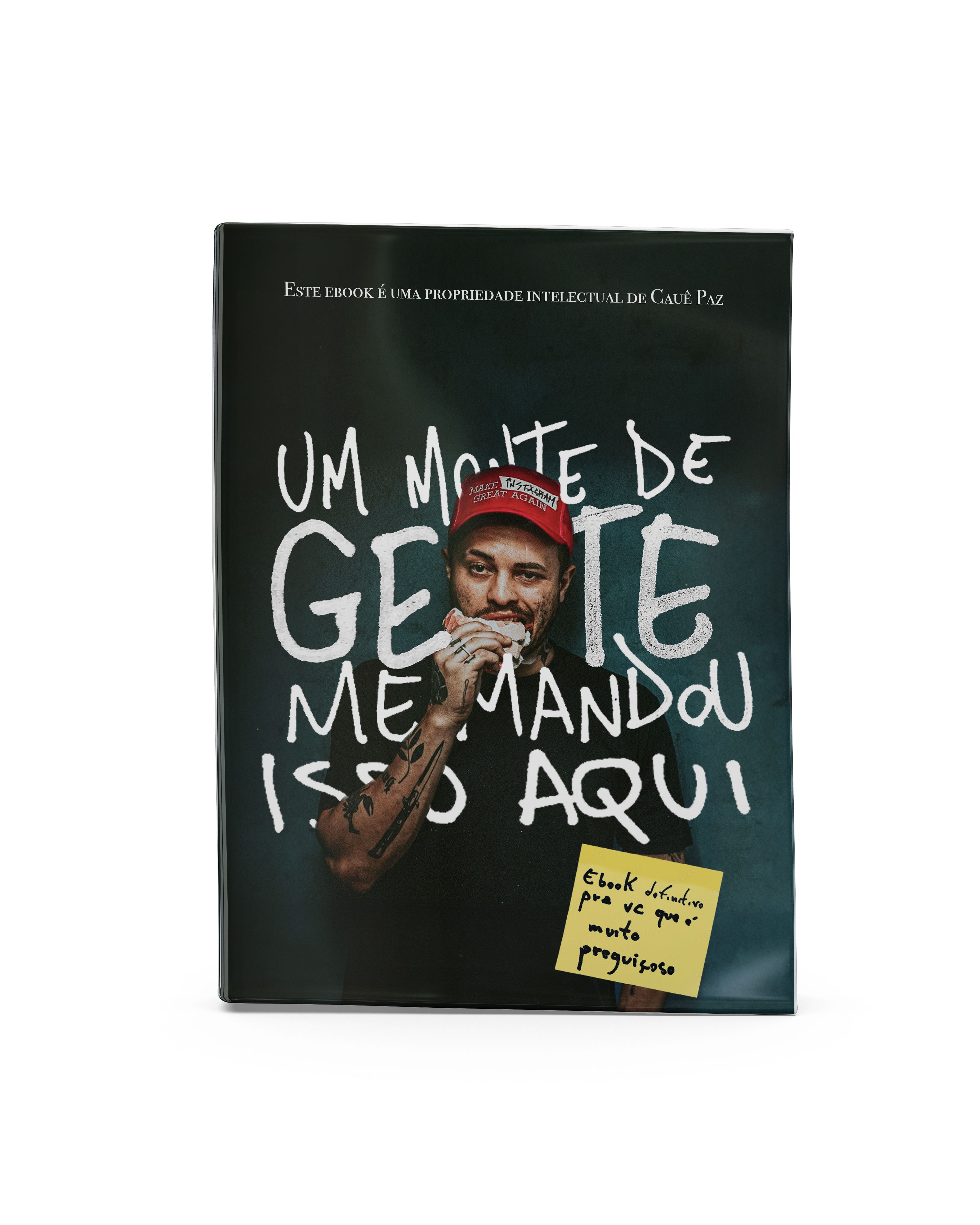 Um Monte de Gente... Como cresci o meu perfil no Instagram com tráfego orgânico